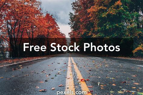 pexels.com copyright free video download|Free Stock Photos, Royalty Free Stock Images & Copyright Free。